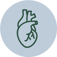 Improves Heart Health