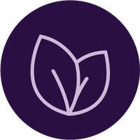 Plant-Based Ingredients