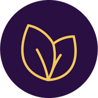 Plant-Based Ingredients