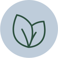 Plant-Based Ingredients