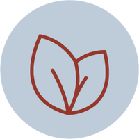 Plant-Based Ingredients