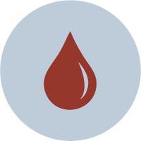 Supports Healthy Blood (Iron-Rich)