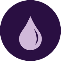 Supports Healthy Blood & Iron Levels